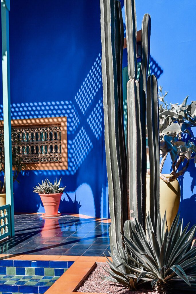 visite de Marrakech et son jardin emblématique