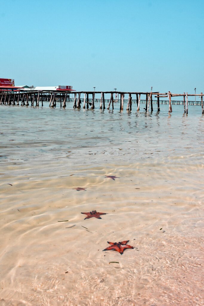 découverte de la plage de starfish beach à Phu Quoc