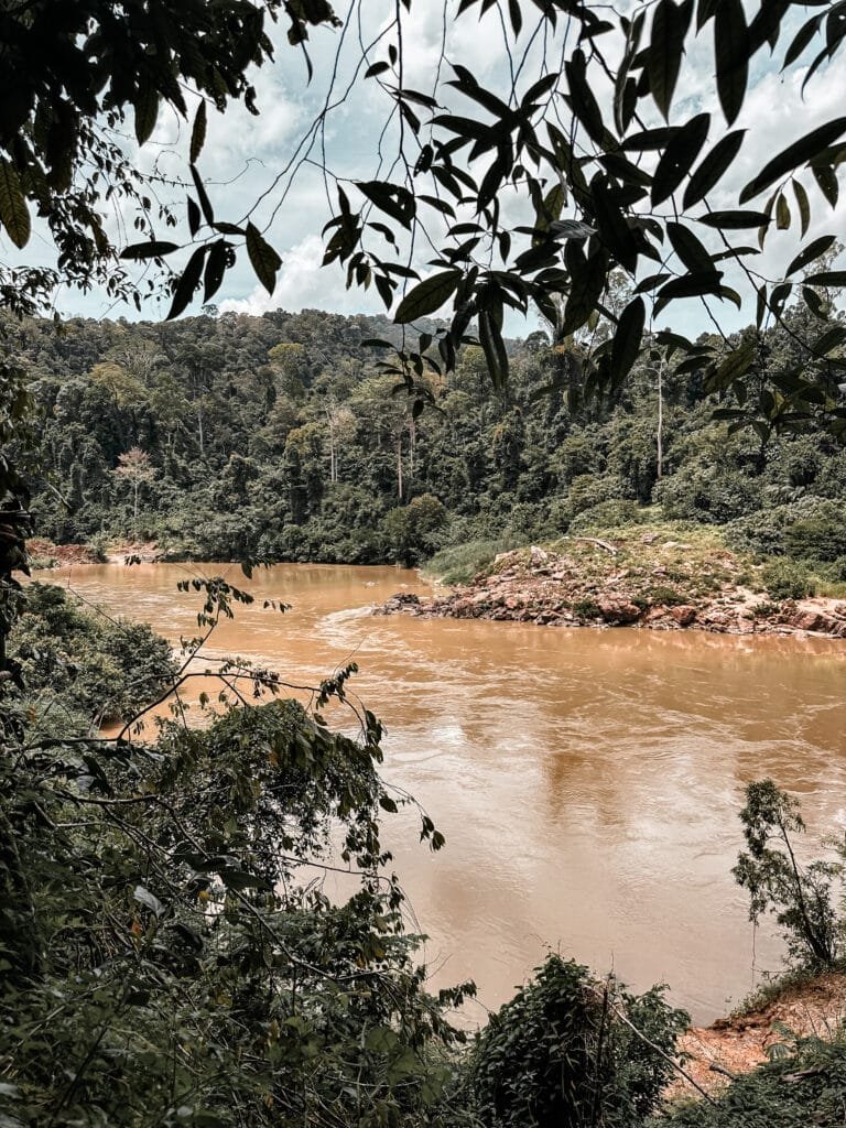 un trek à Taman Negara est l'un des incontournables lorsque l'on se demande que faire en Malaisie