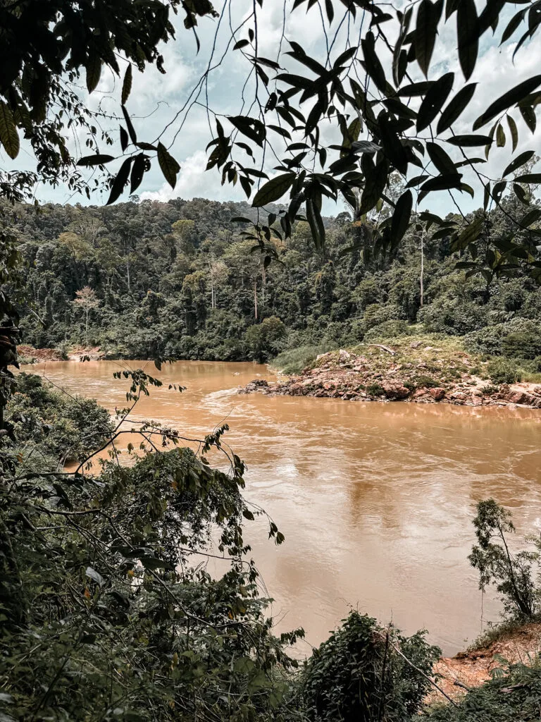 un trek à Taman Negara est l'un des incontournables lorsque l'on se demande que faire en Malaisie