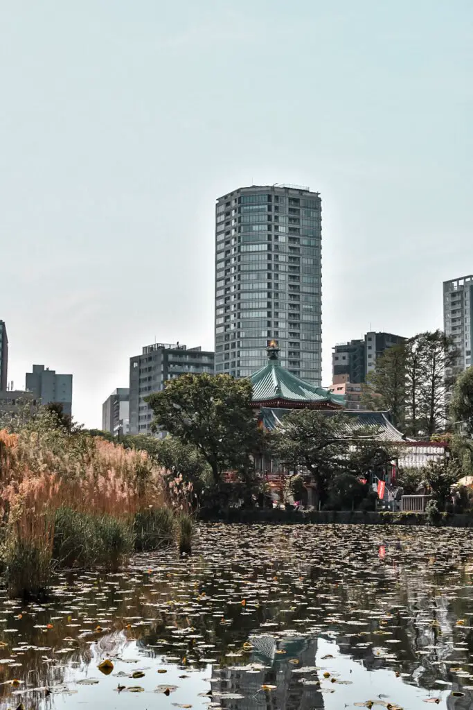 balade dans le parc Ueno