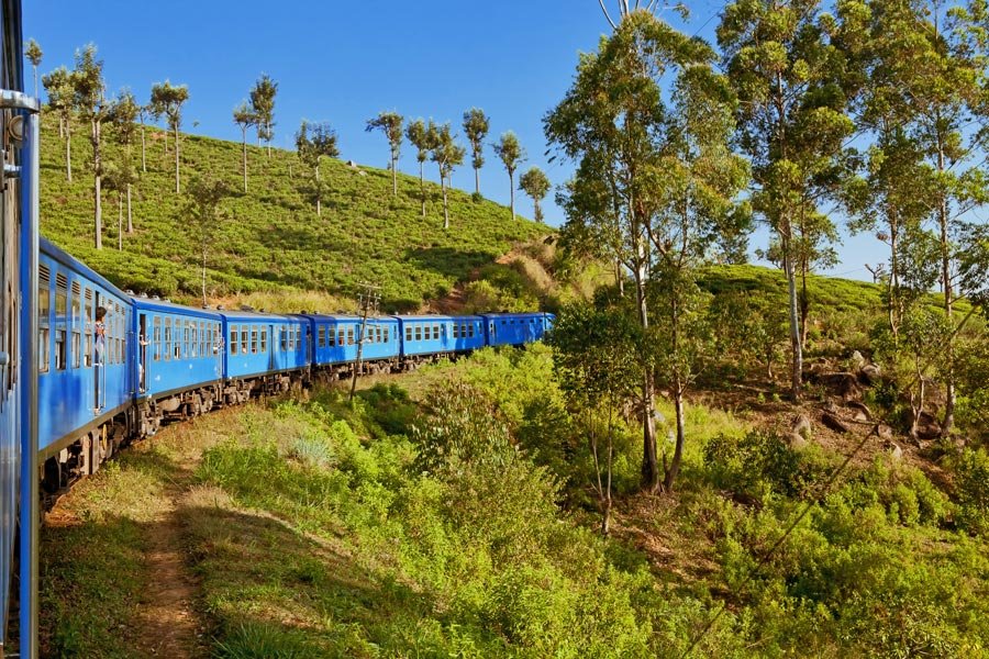 voyage au Sri Lanka