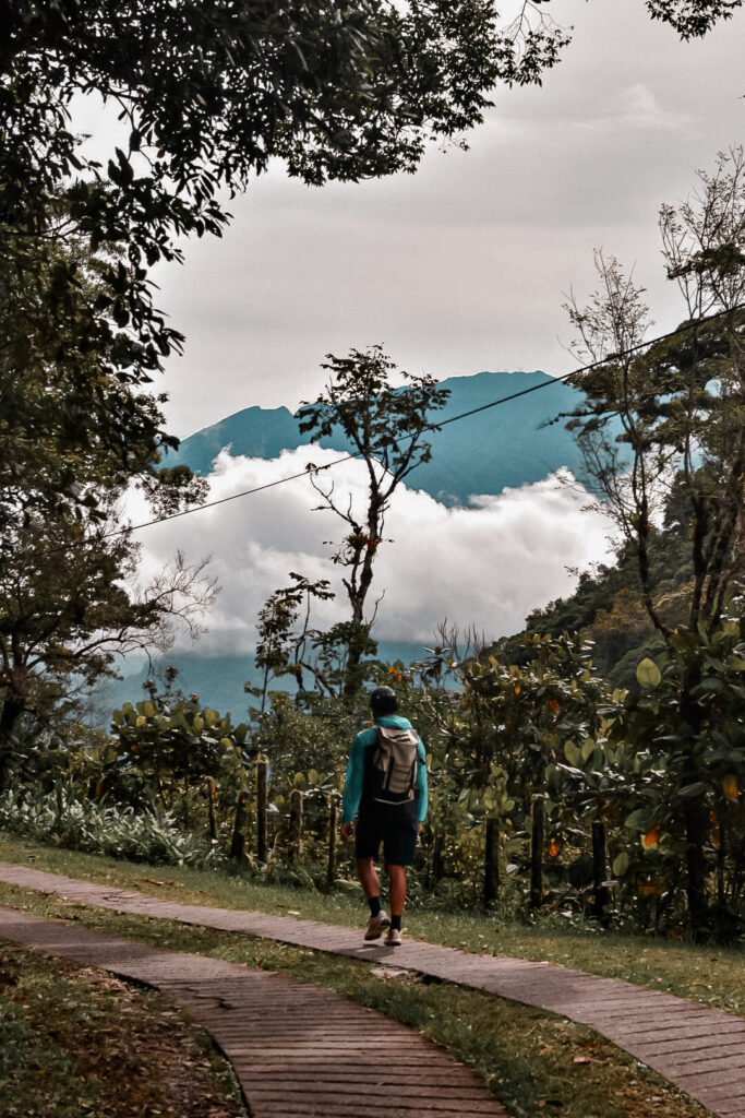 randonnée à travers la jungle