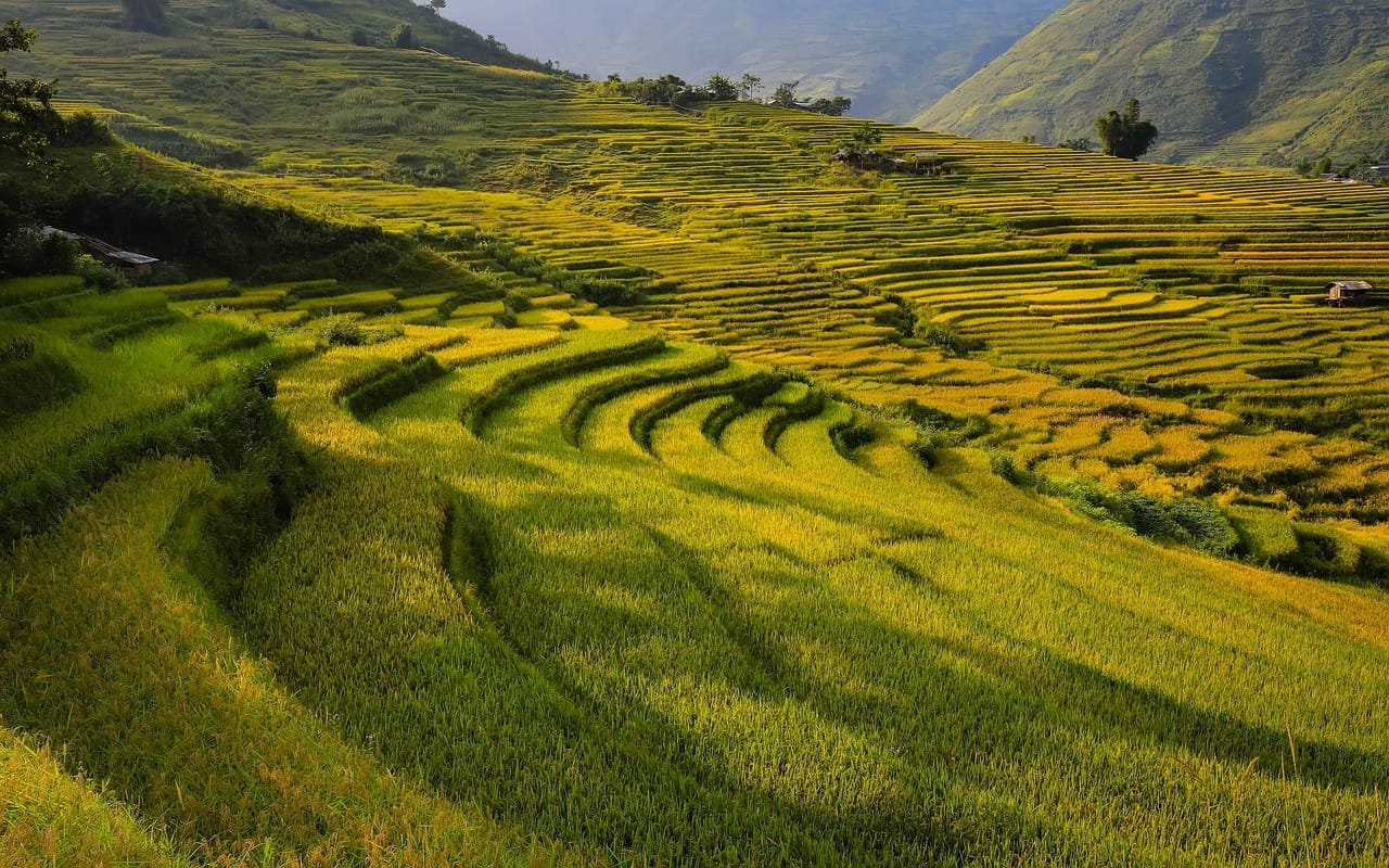 Voyage organisé au Vietnam