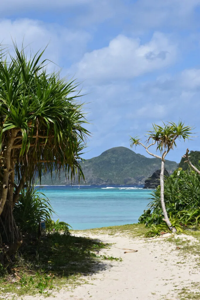 Visiter Okinawa : le Japon autrement ! 5 une plage avec des tortues au Japon