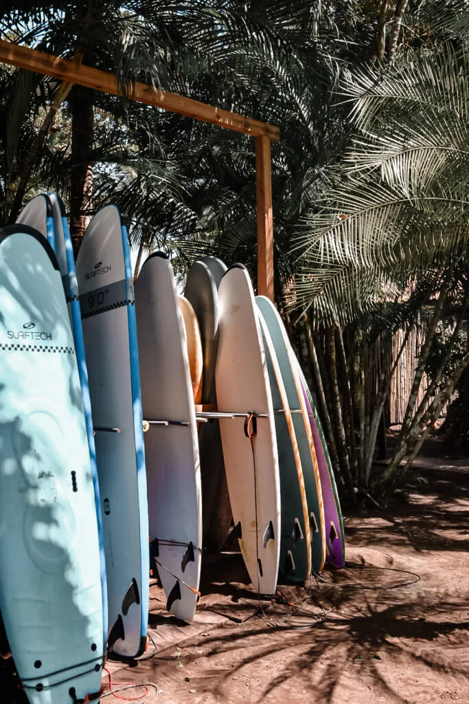 faire du surf à Santa Catalina