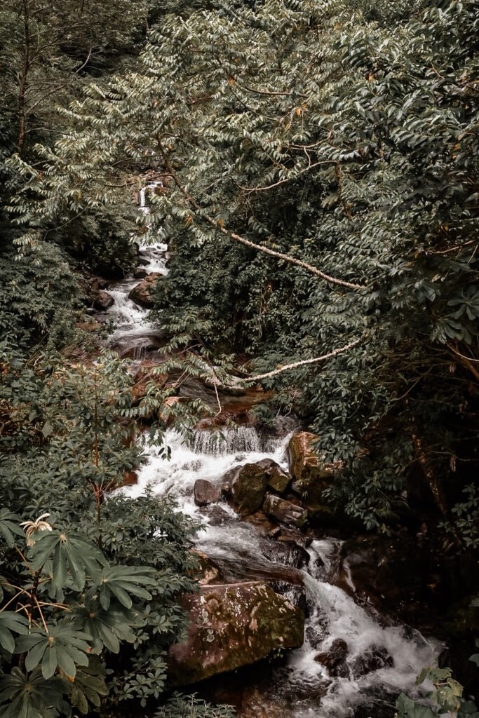 une cascade dans les montagnes de Vallee Anton au Panama