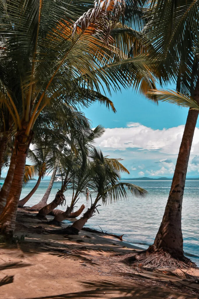 Que faire à Bocas del Toro ? 3 bocas del toro panama