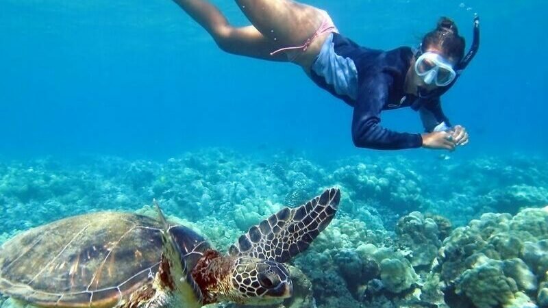 nager avec les tortues à Santa Catalina